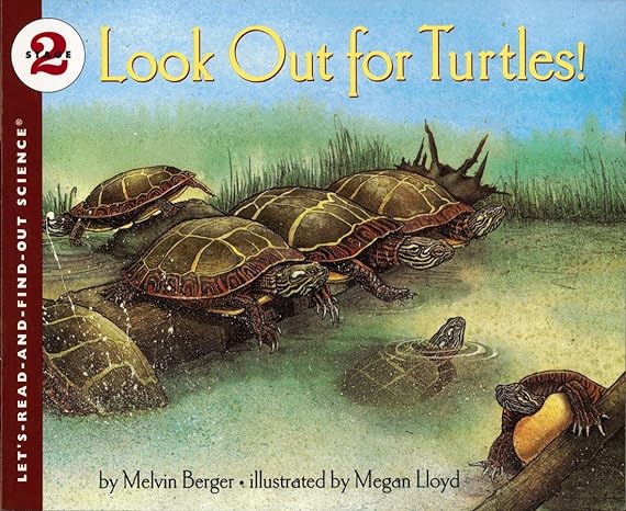 Look out for turtles! /