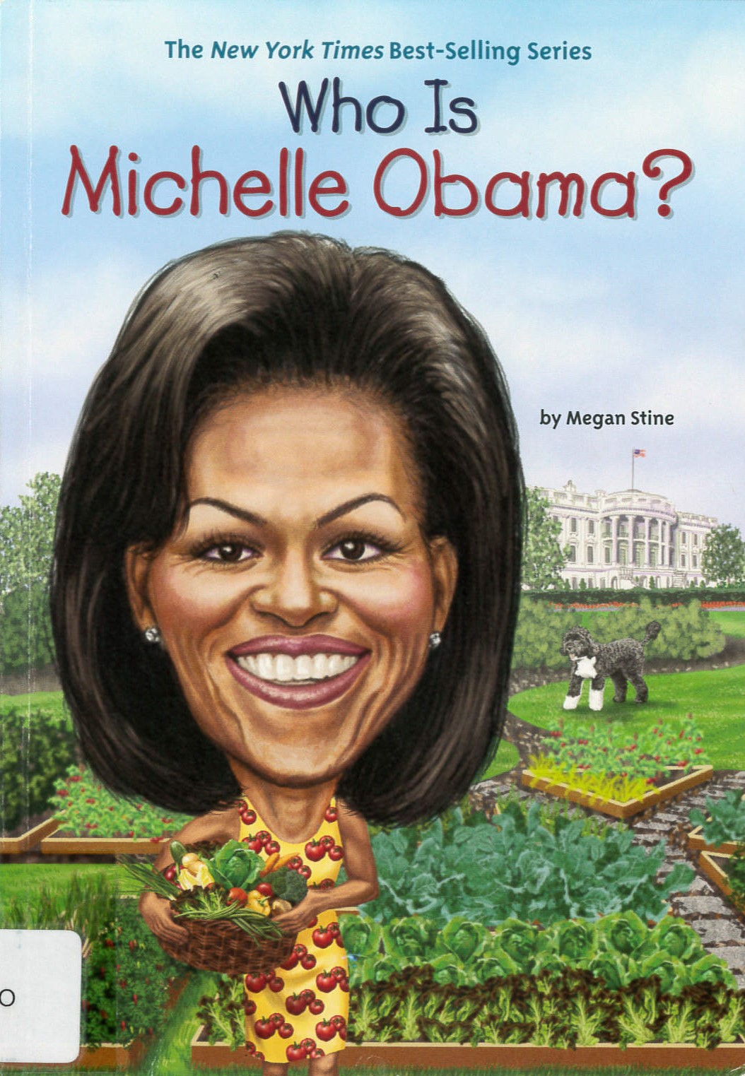Who is Michelle Obama? /