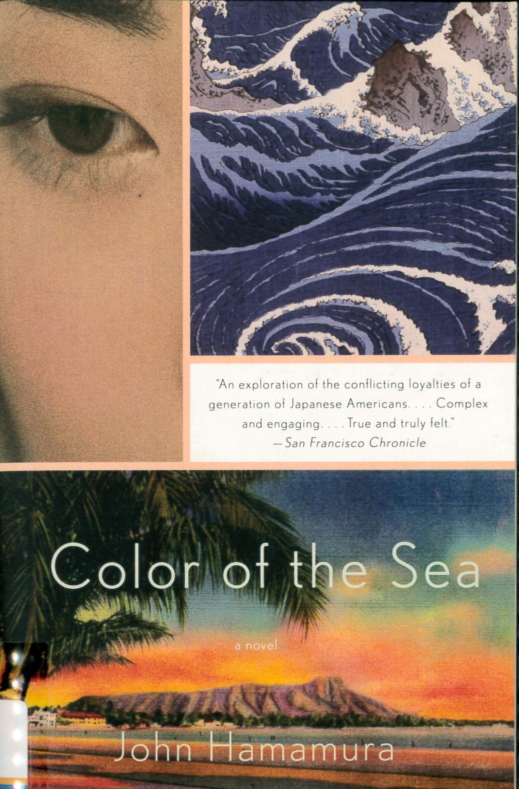 Color of the sea : a novel /