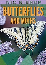 Nic Bishop butterflies and moths /