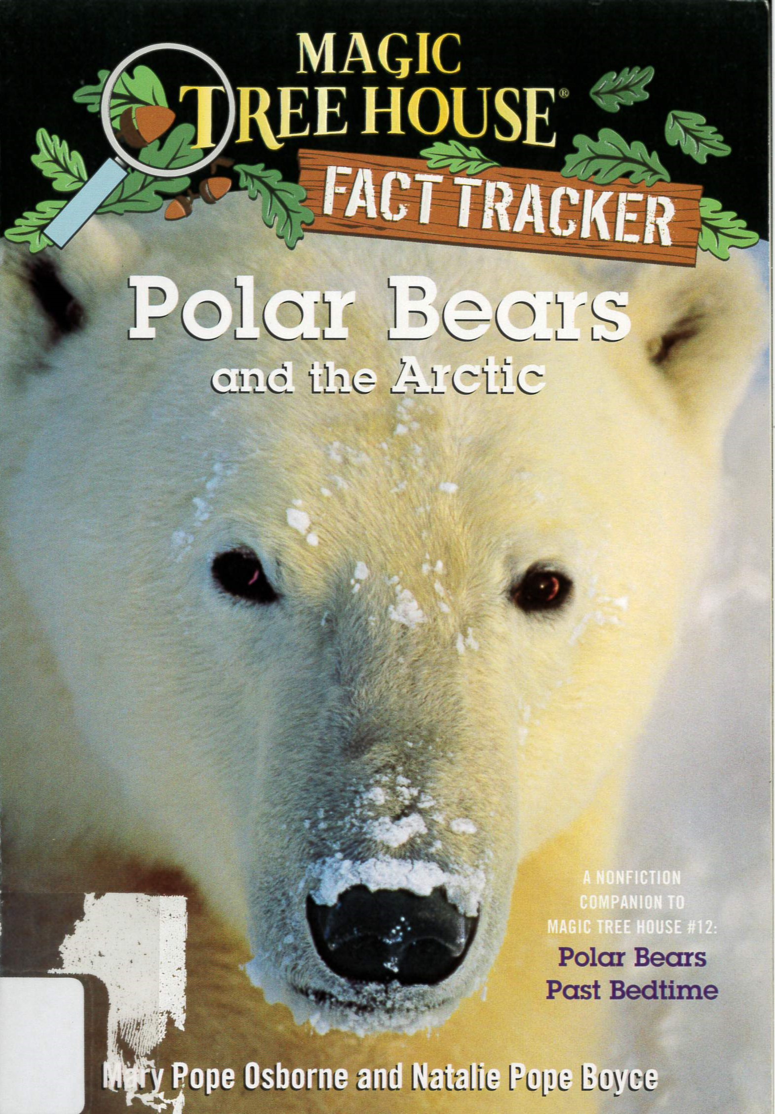 Polar bears and the Arctic /