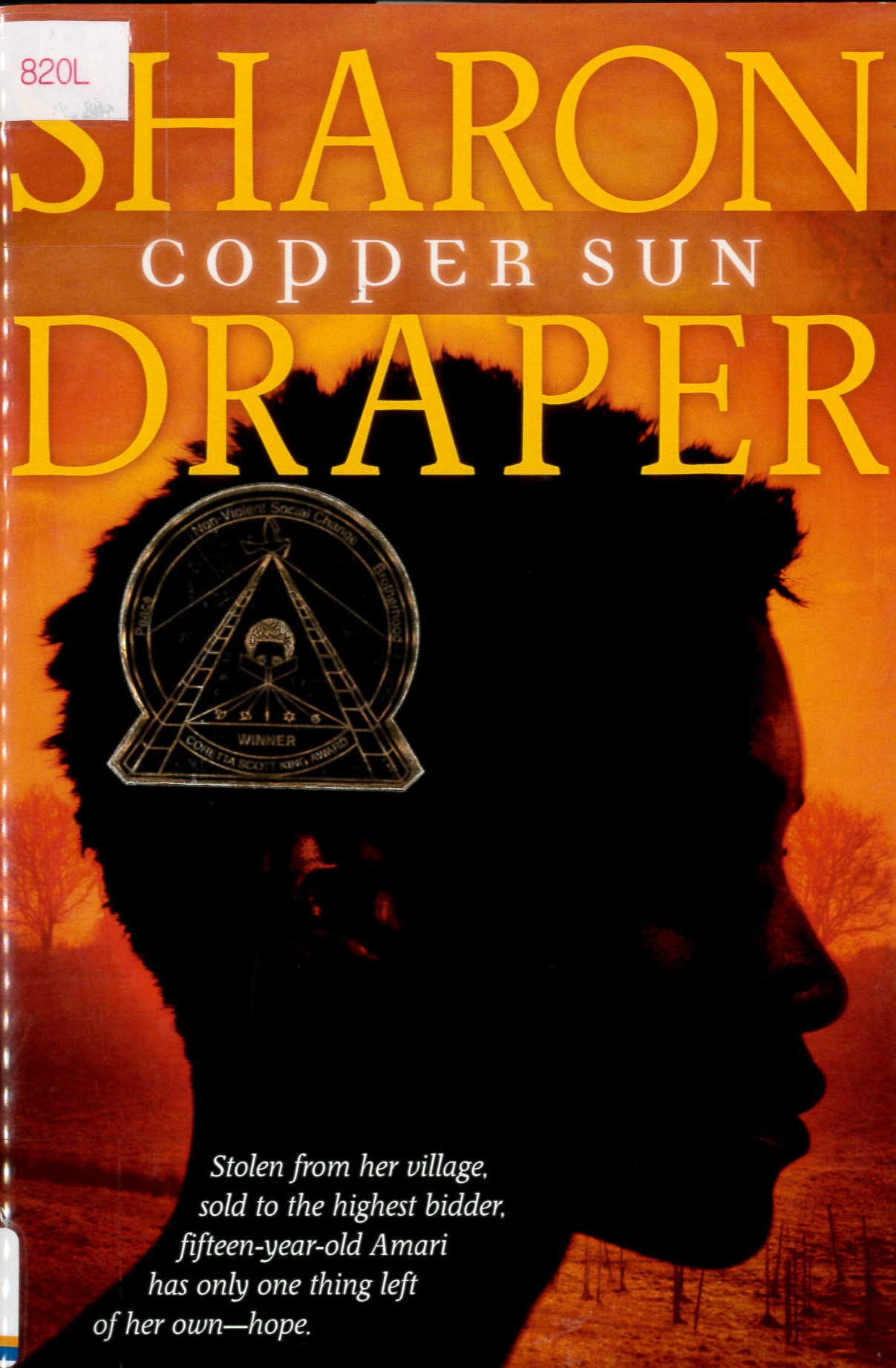 Copper sun /