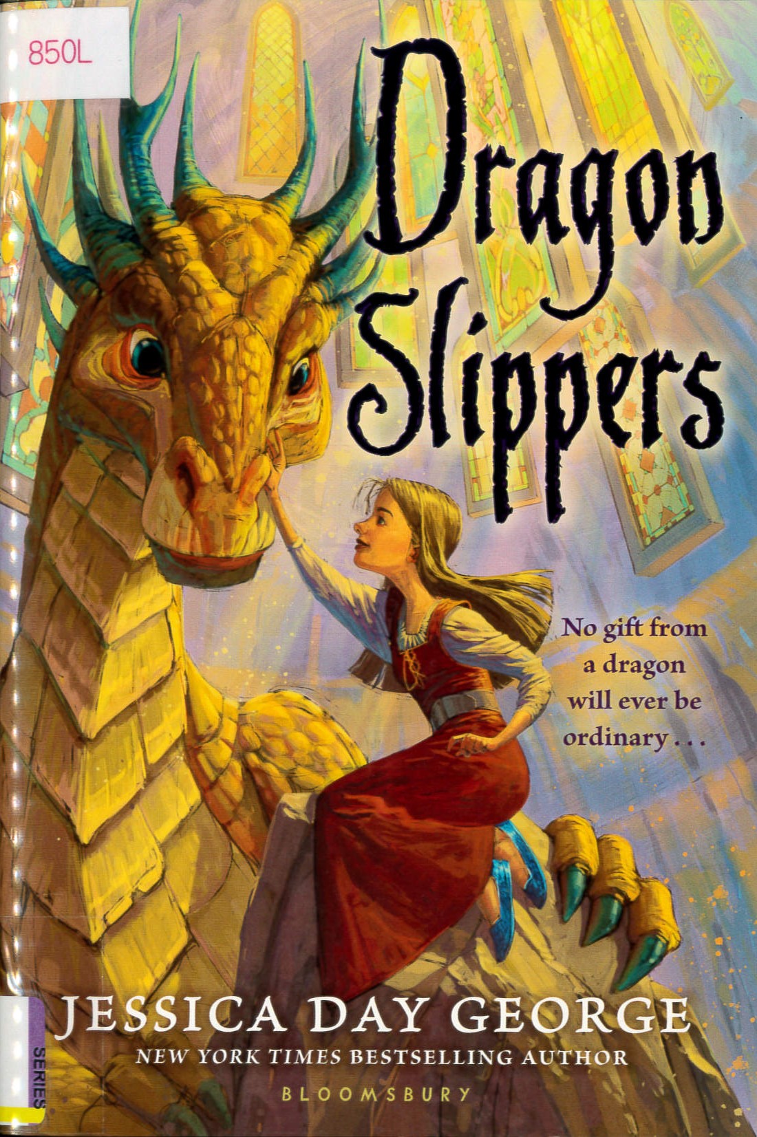 Dragon slippers /