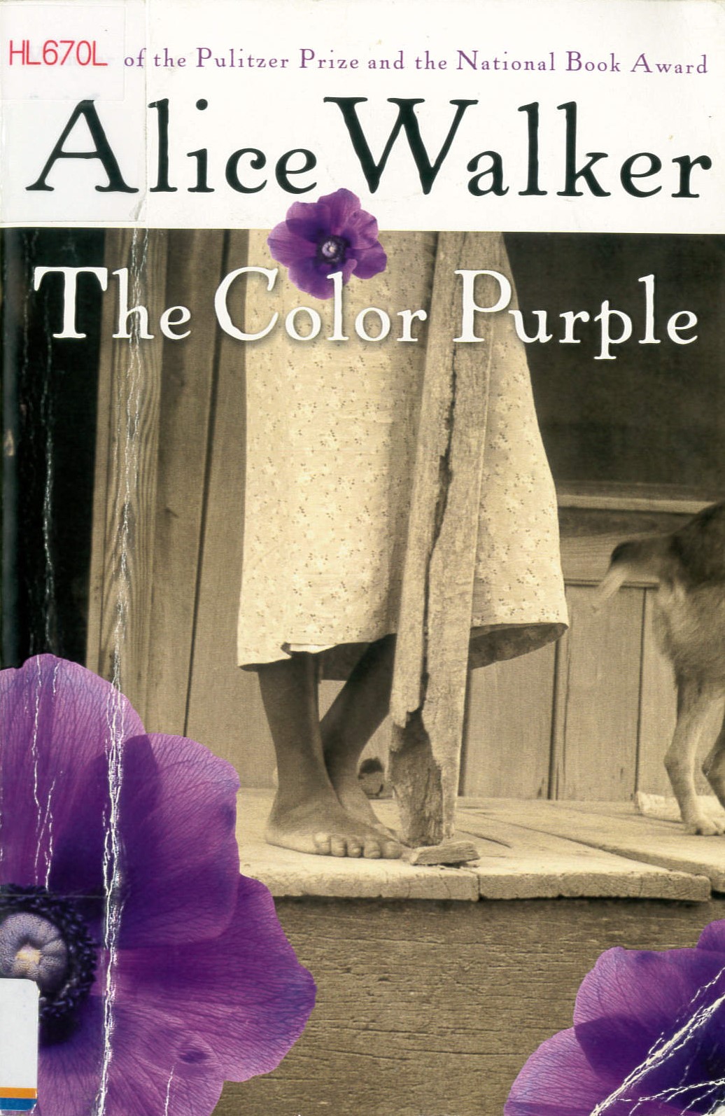 The color purple /