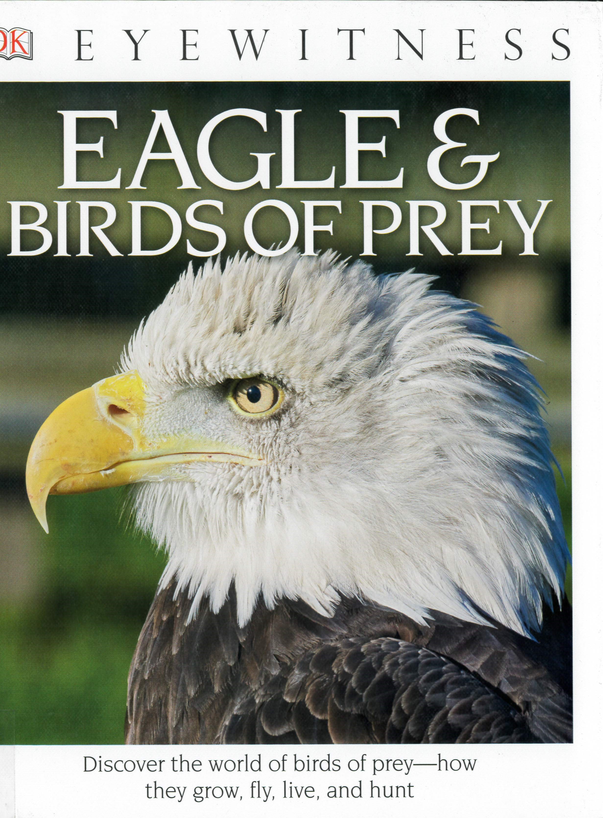 Eagle & birds of prey /