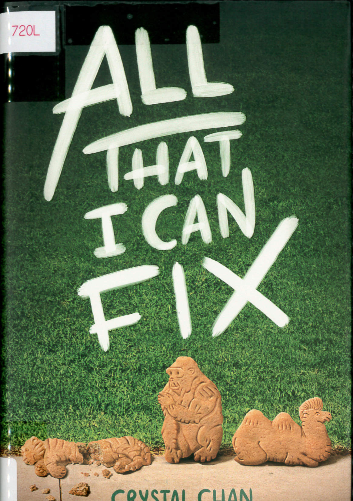 All that I can fix /
