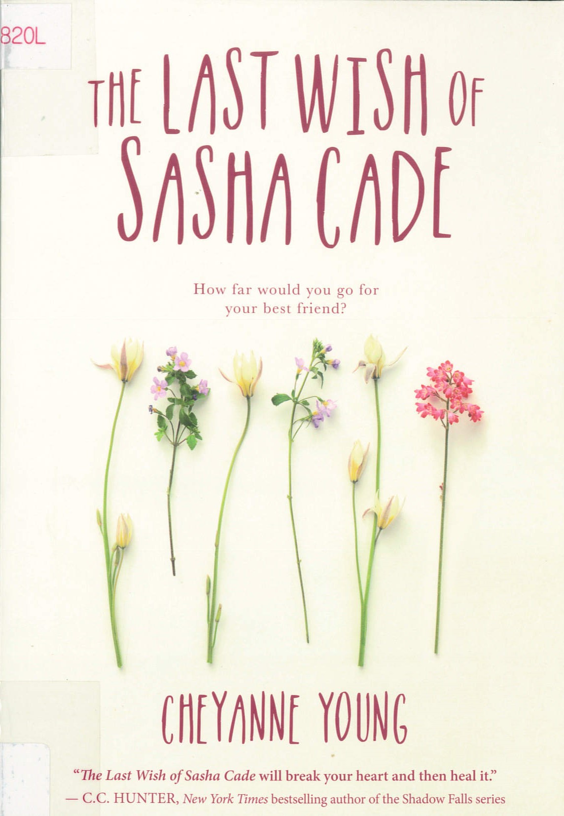 The last wish of Sasha Cade /