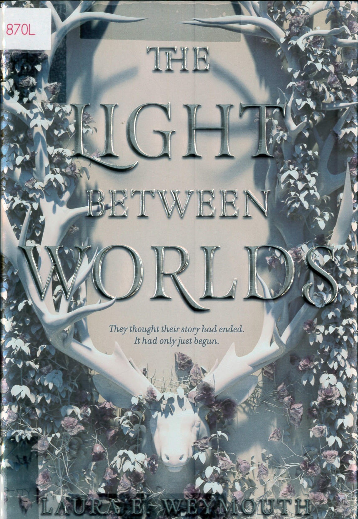 The light between worlds /