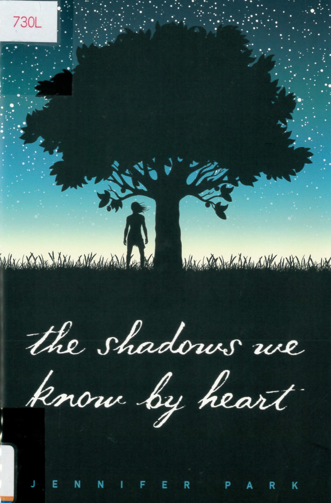 The shadows we know by heart /