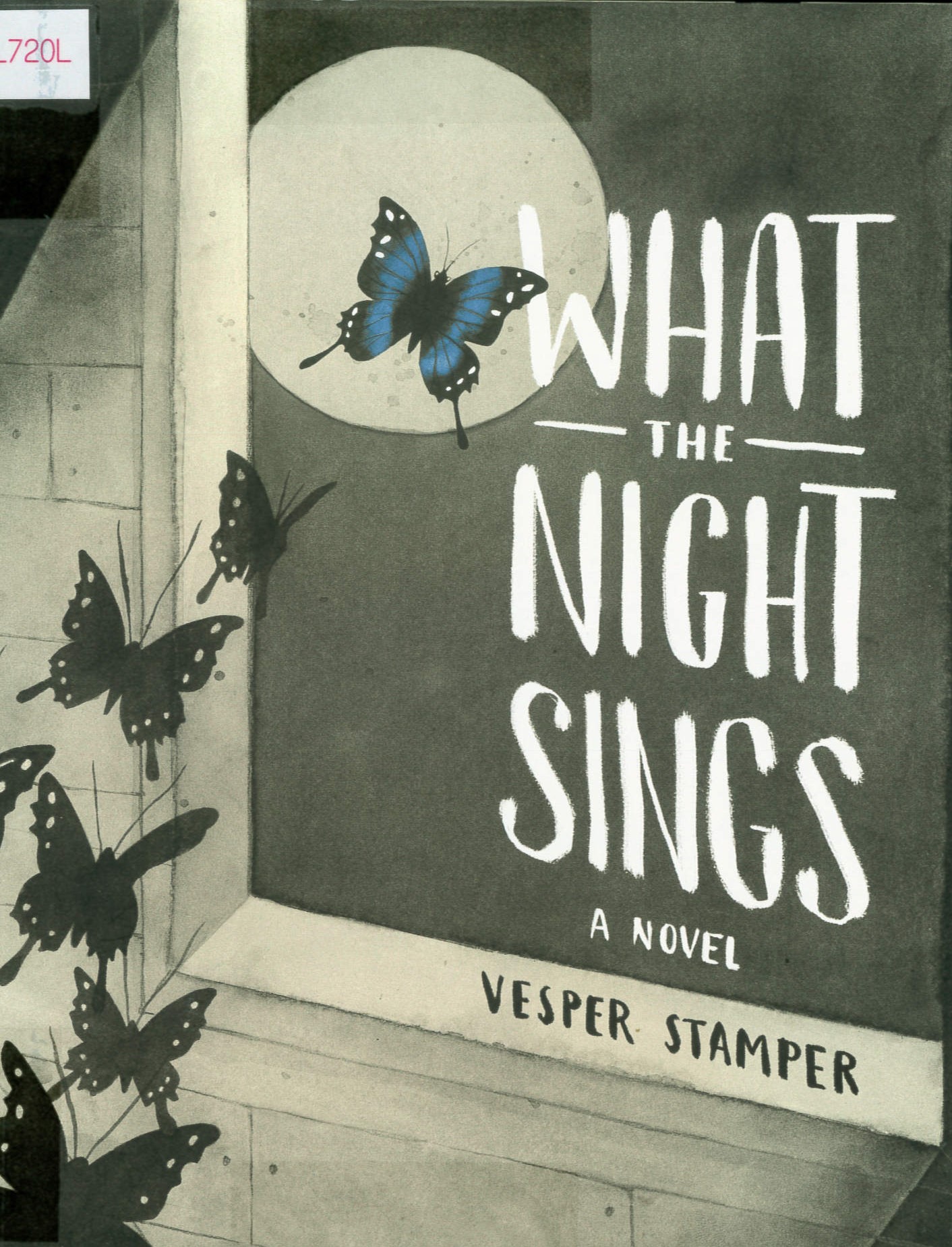 What the night sings : a novel /