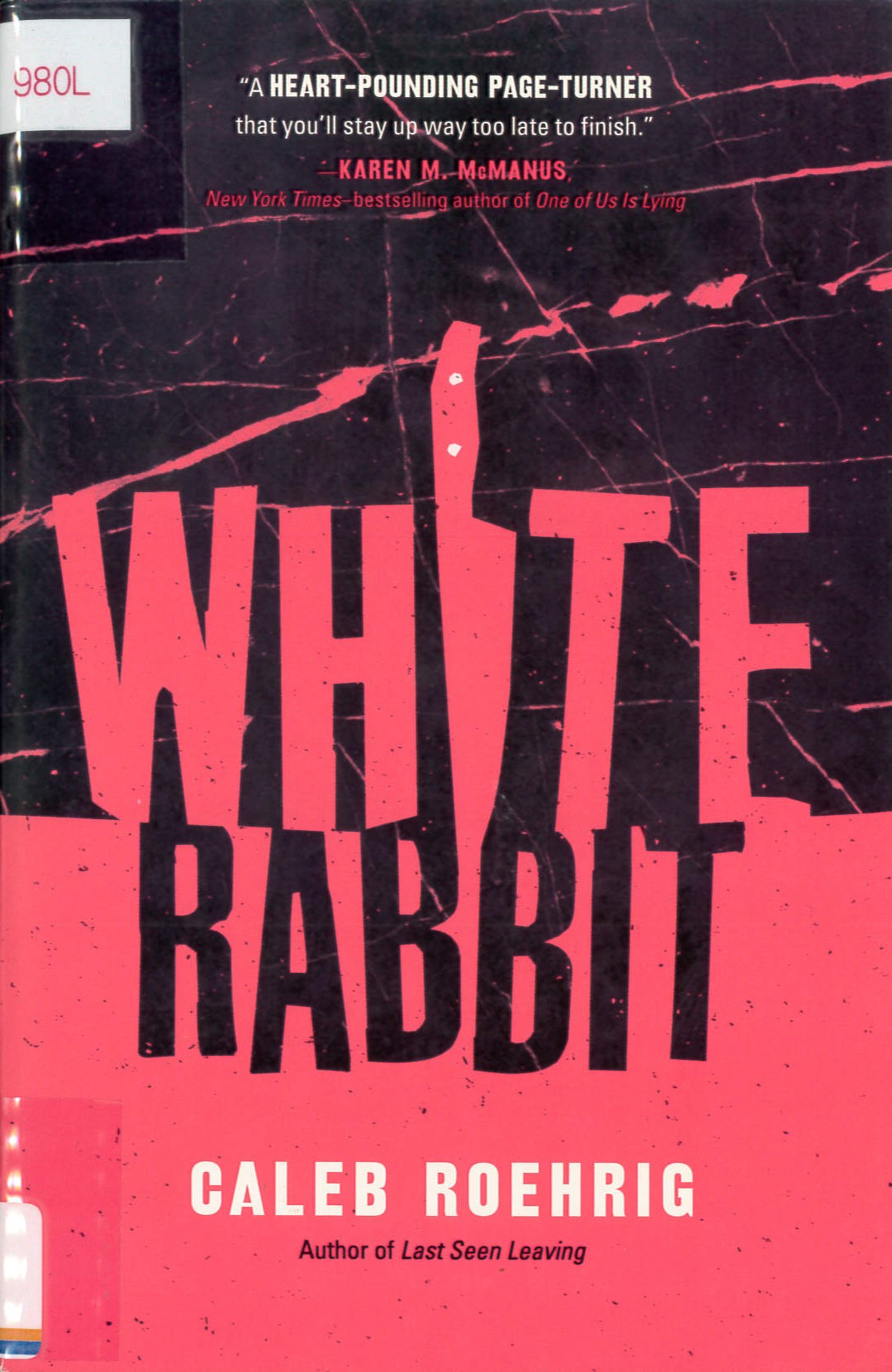 White rabbit /