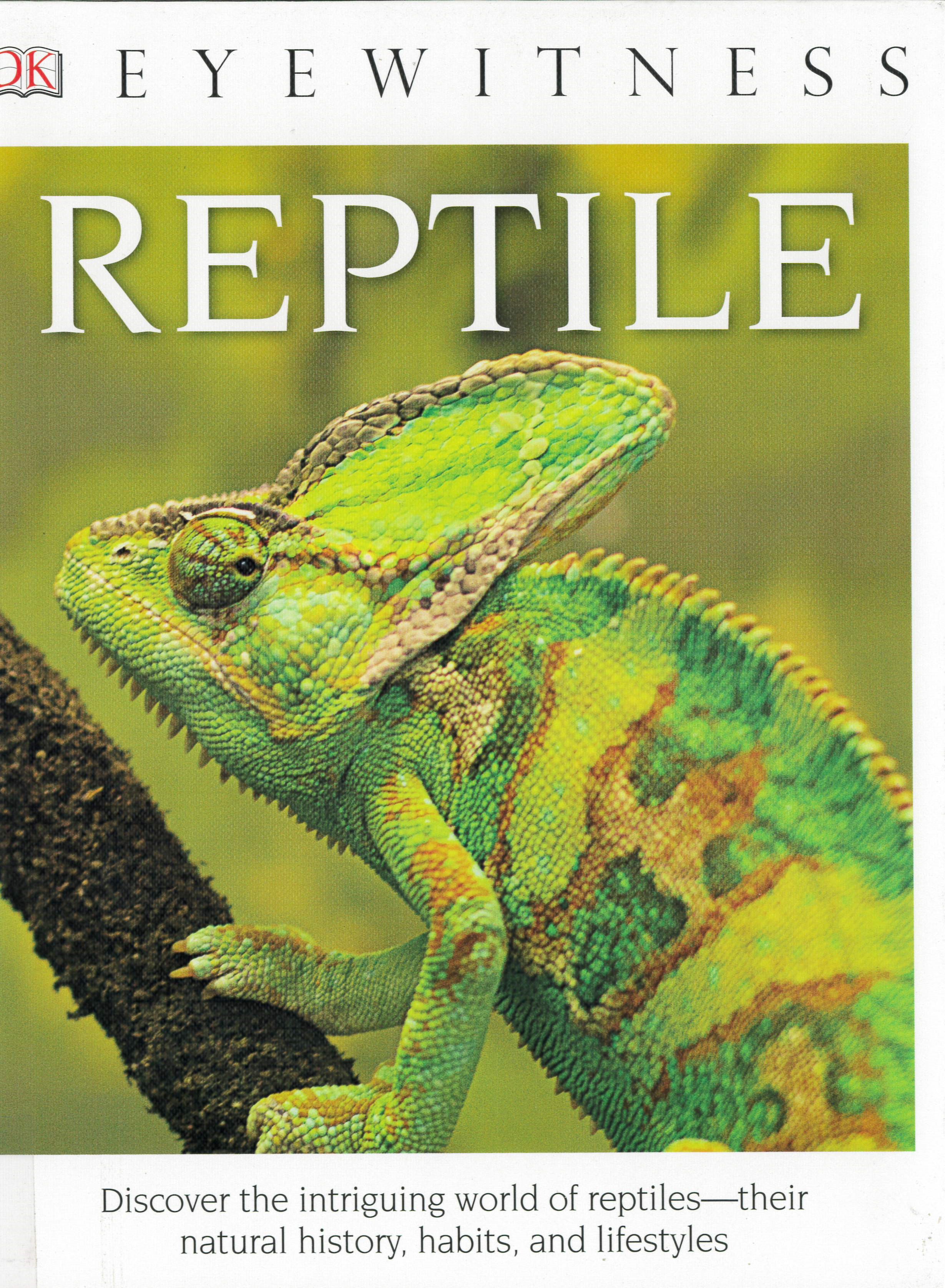 Reptile /