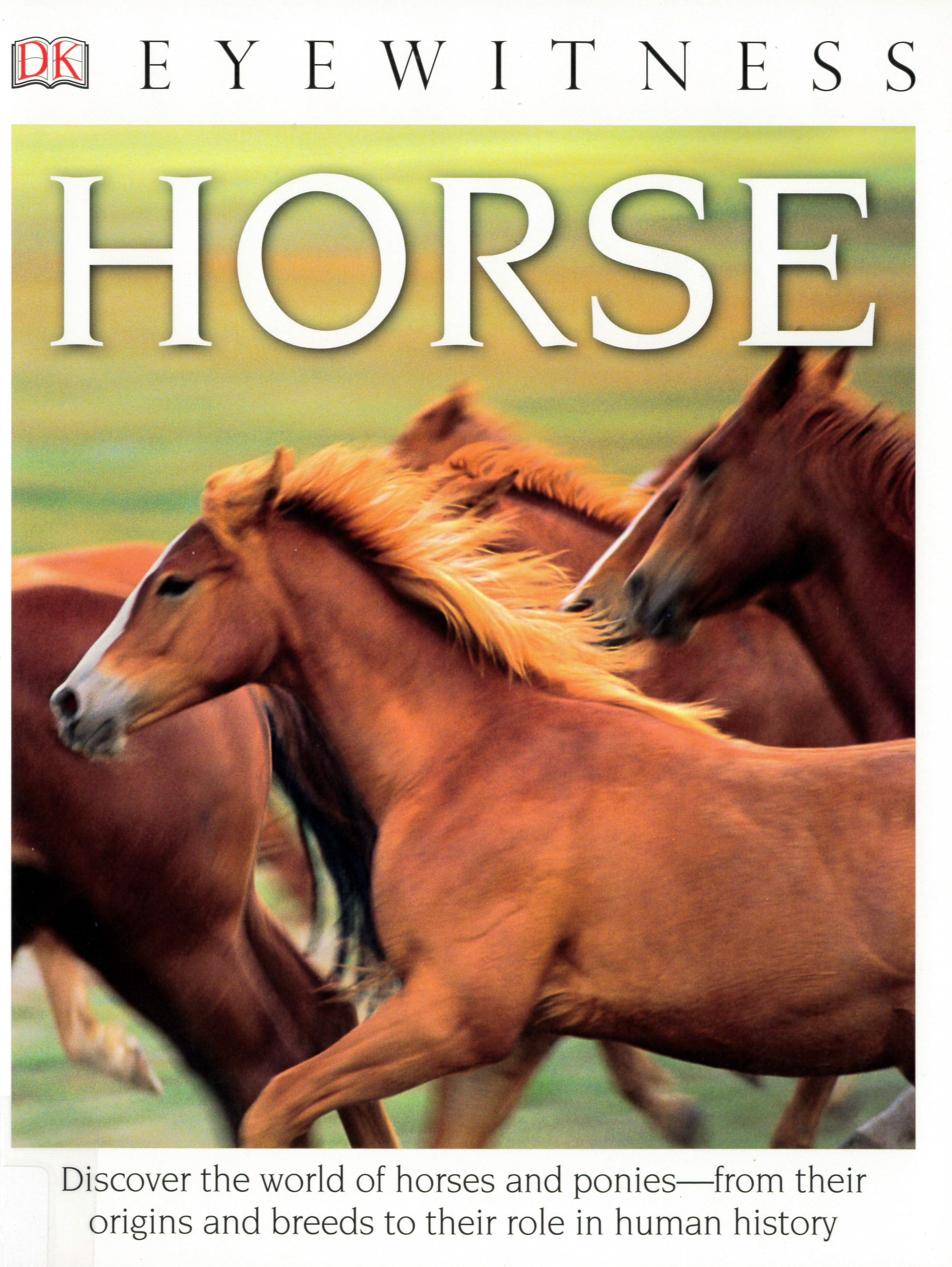 Horse /