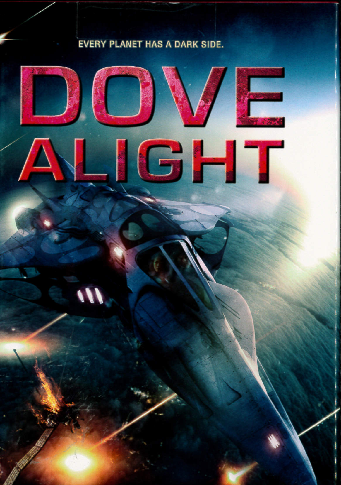 Dove alight /