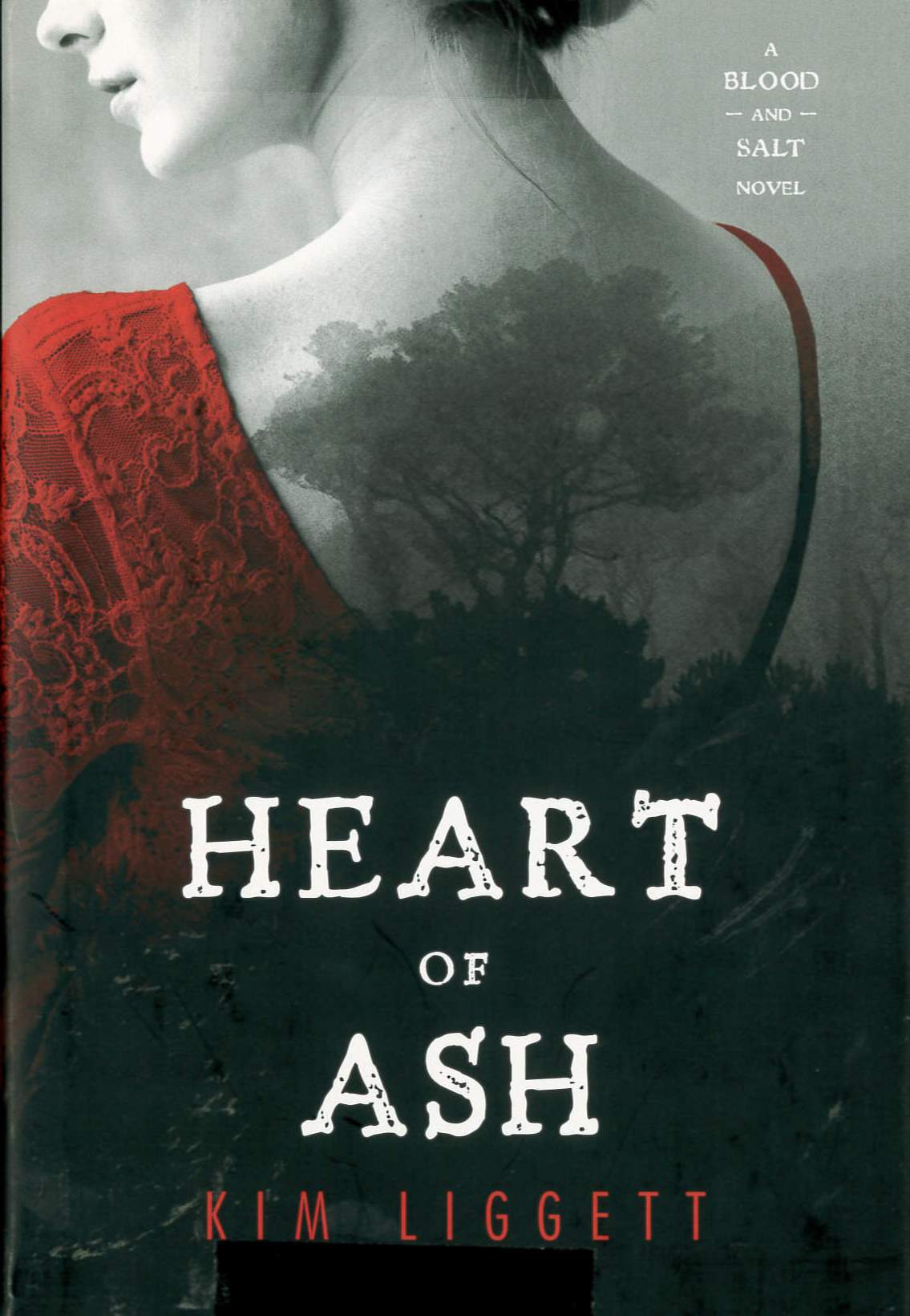 Heart of Ash /