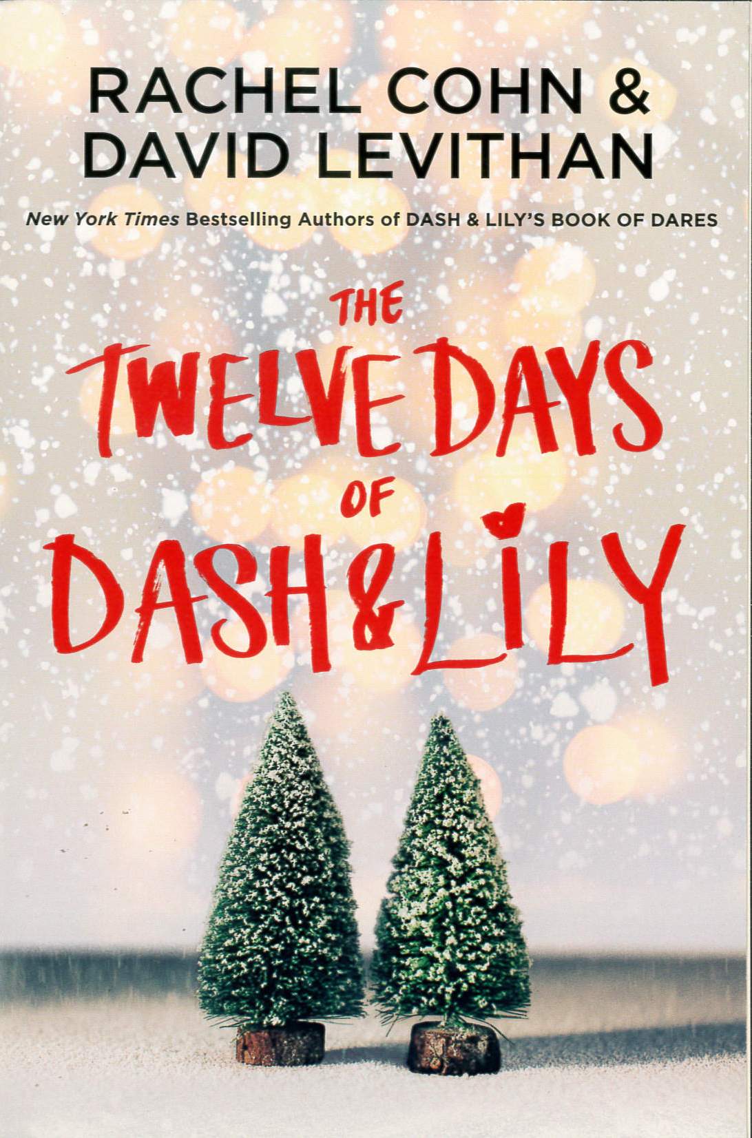 The twelve days of Dash & Lily /