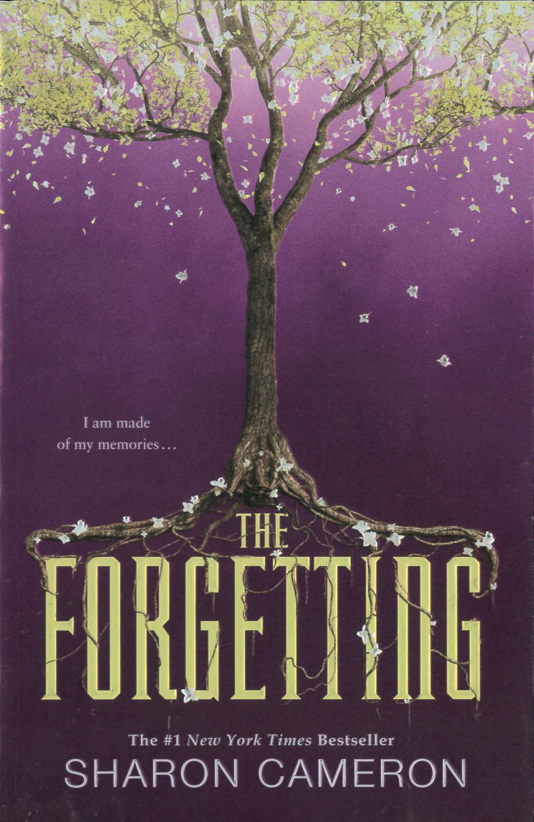 The Forgetting /