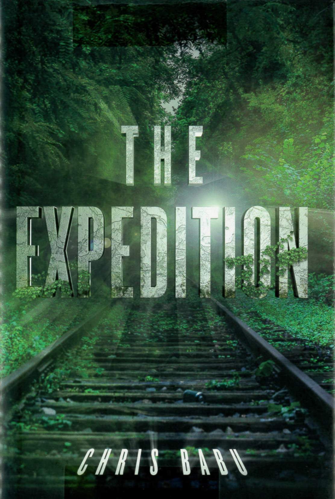 The expedition /