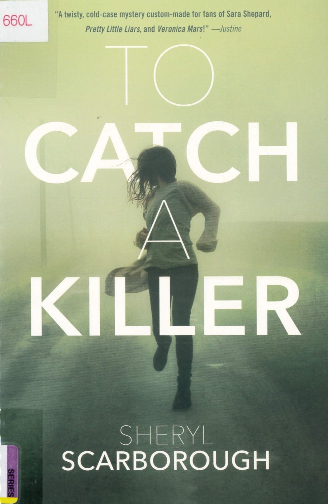 To catch a killer /
