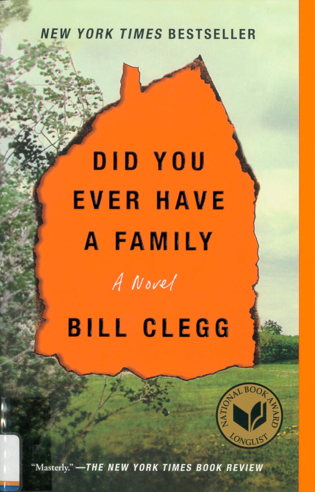 Did you ever have a family [a novel]
