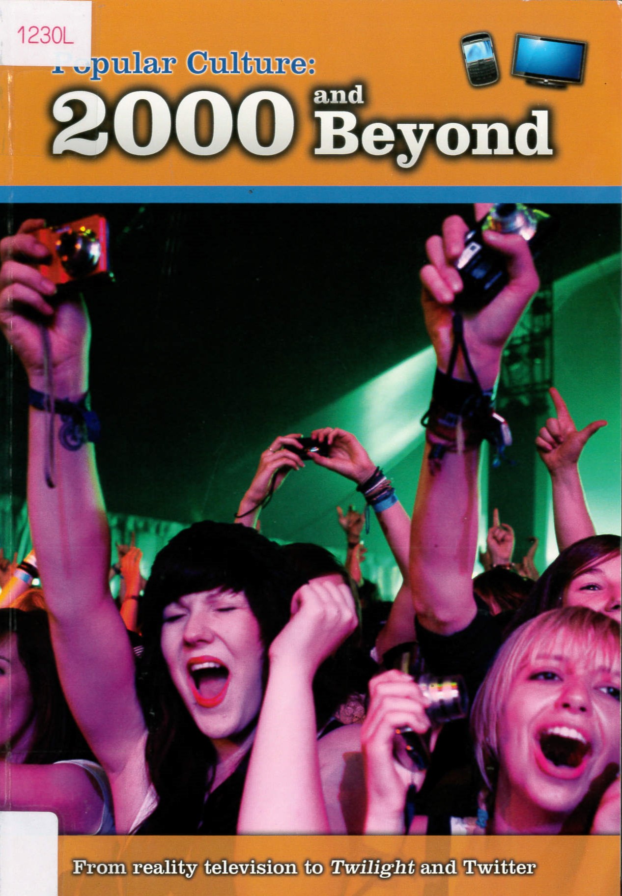 Popular culture : 2000 and beyond /