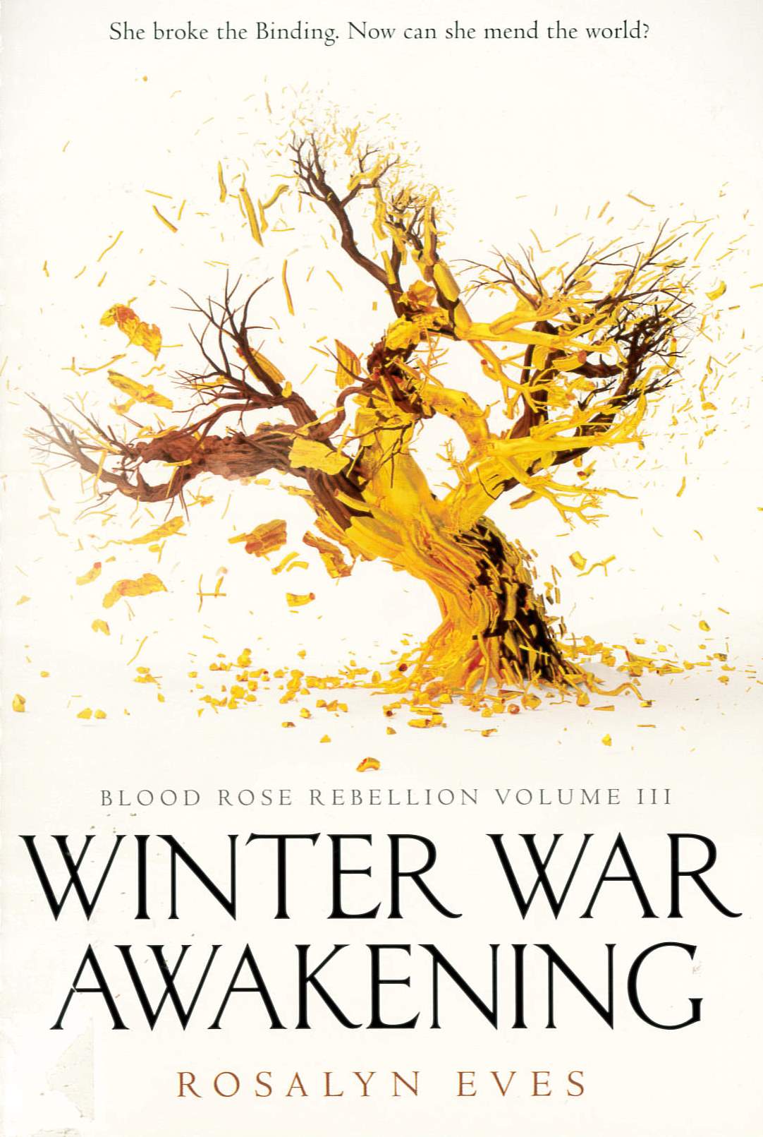 Winter war awakening /