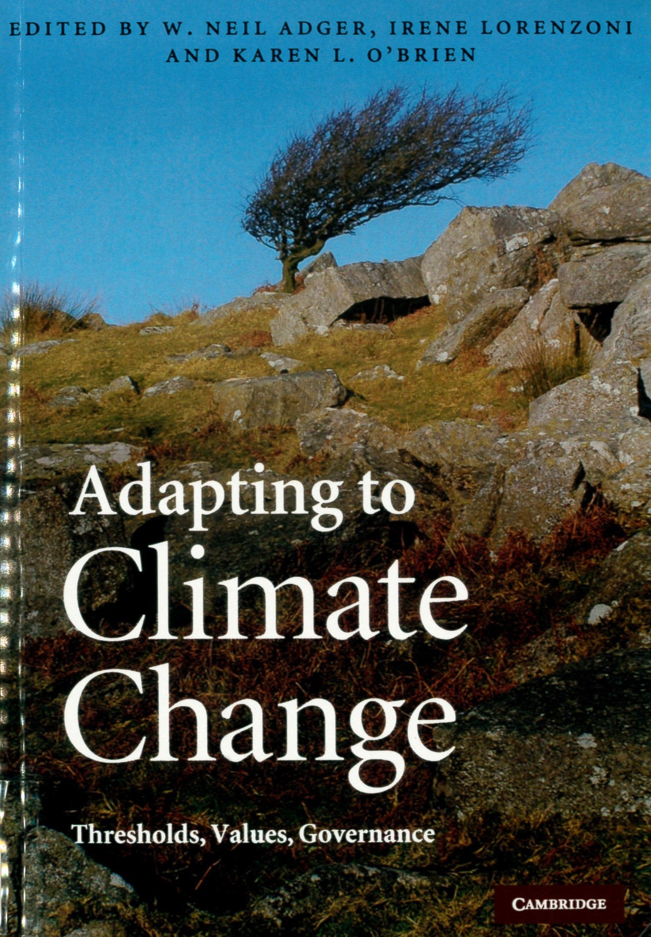 Adapting to climate change : thresholds, values, governance /