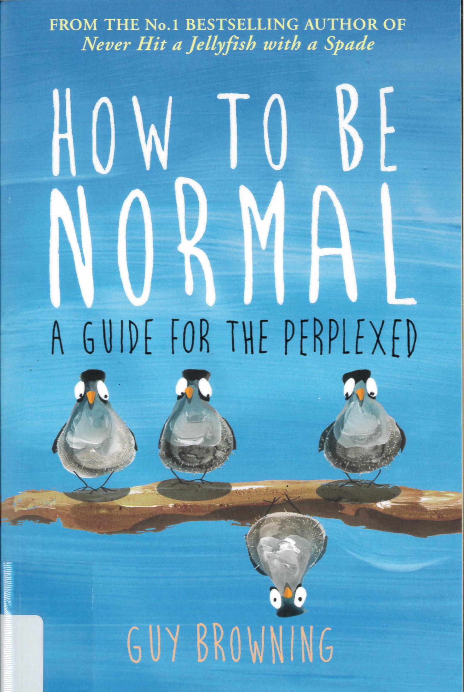 How to be normal : a guide for the perplexed /