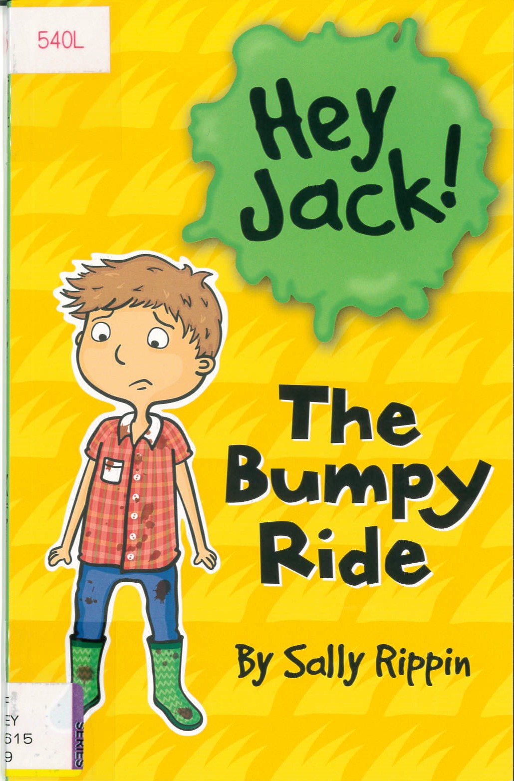 The Bumpy ride /