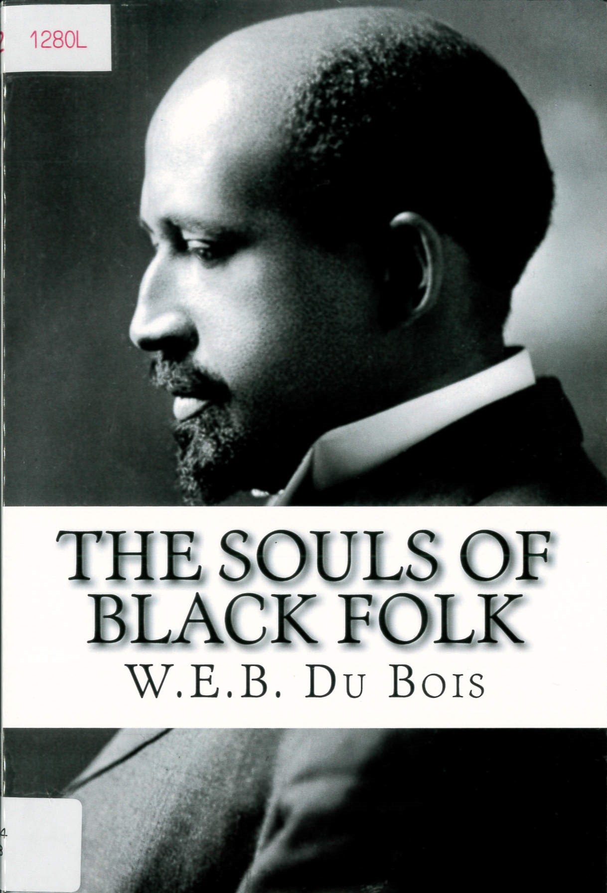 The souls of Black folk /