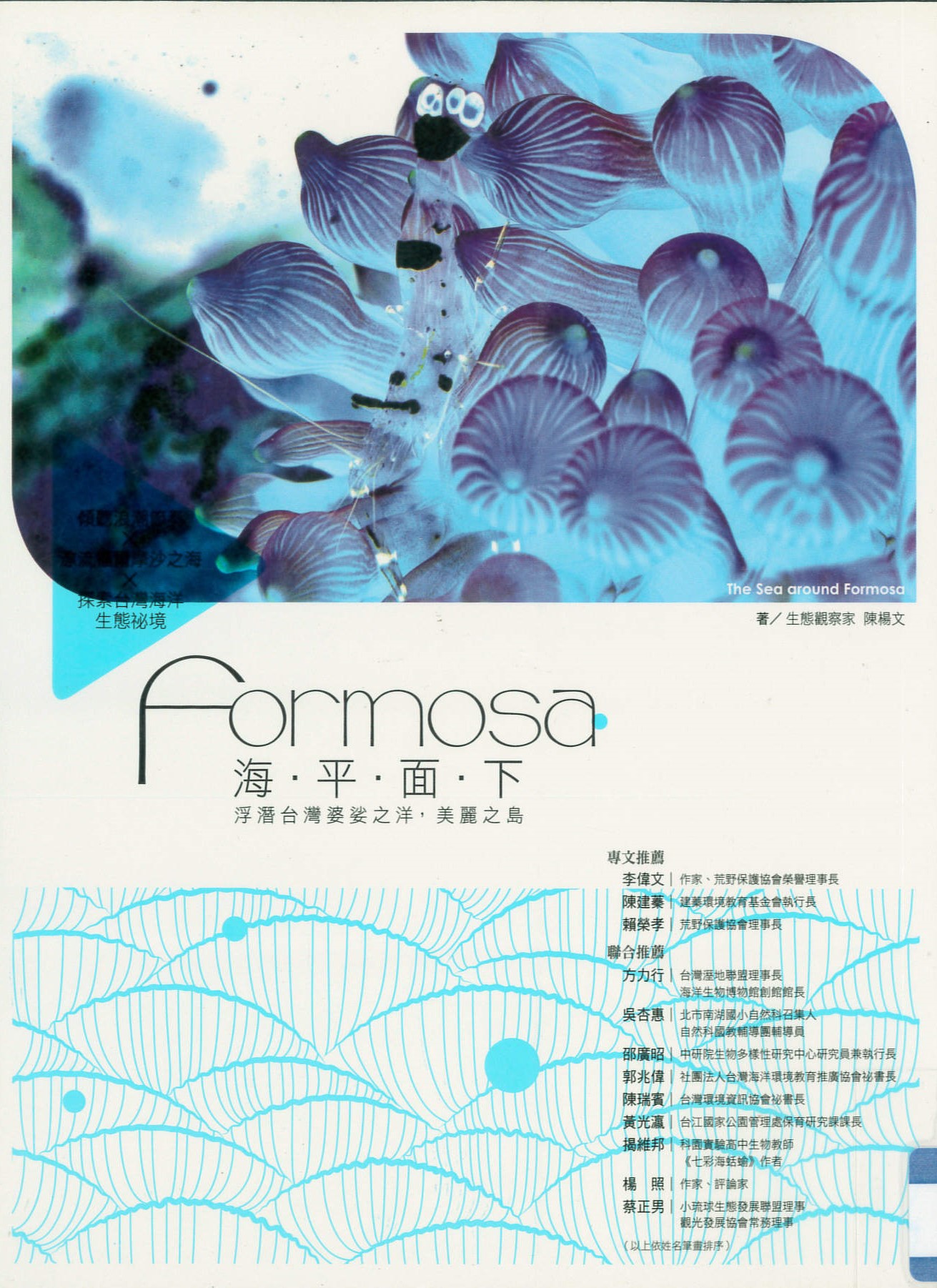 Formosa海.平.面.下 浮潛台灣婆娑之洋, 美麗之島