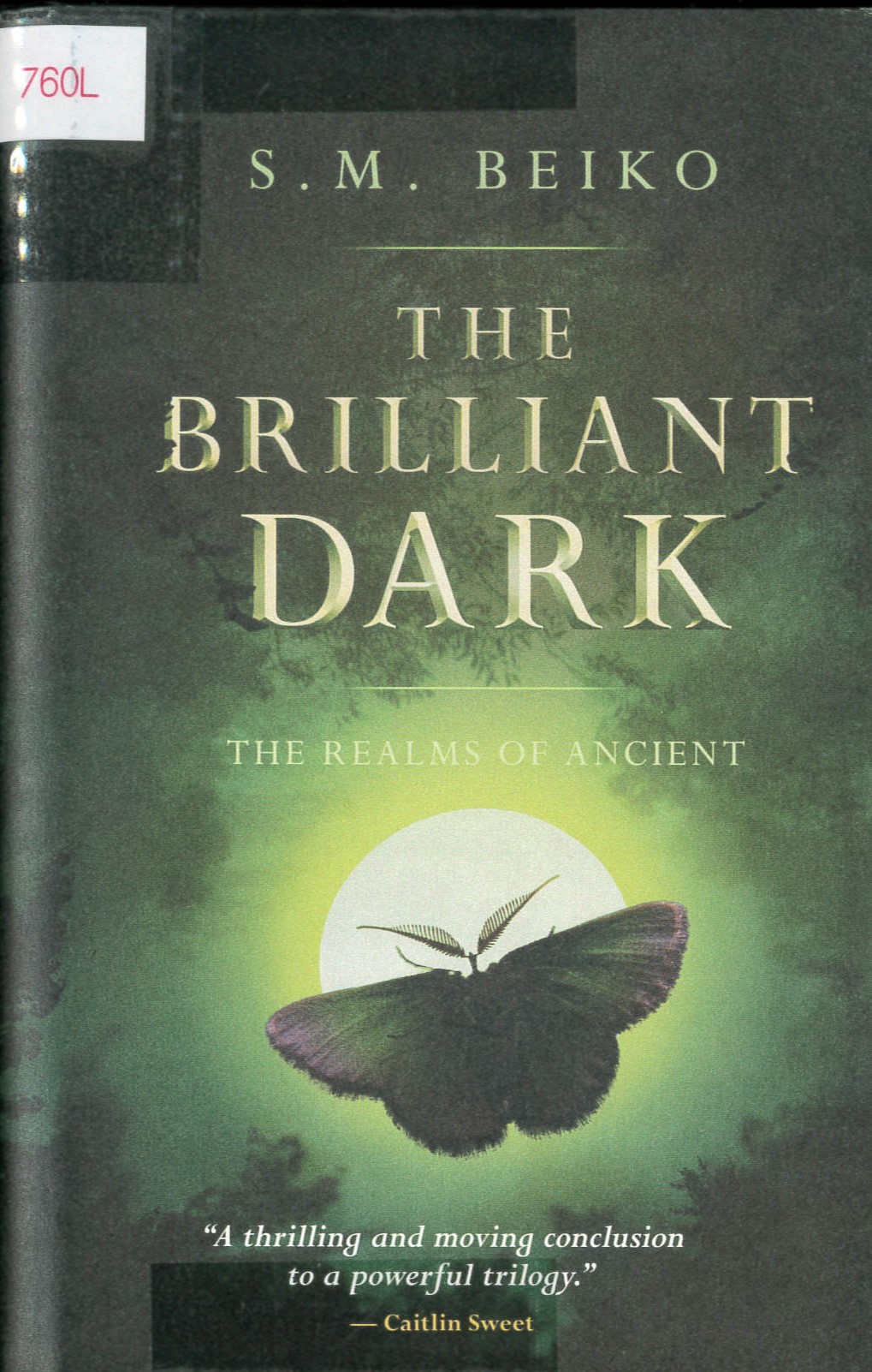 The Brilliant Dark /