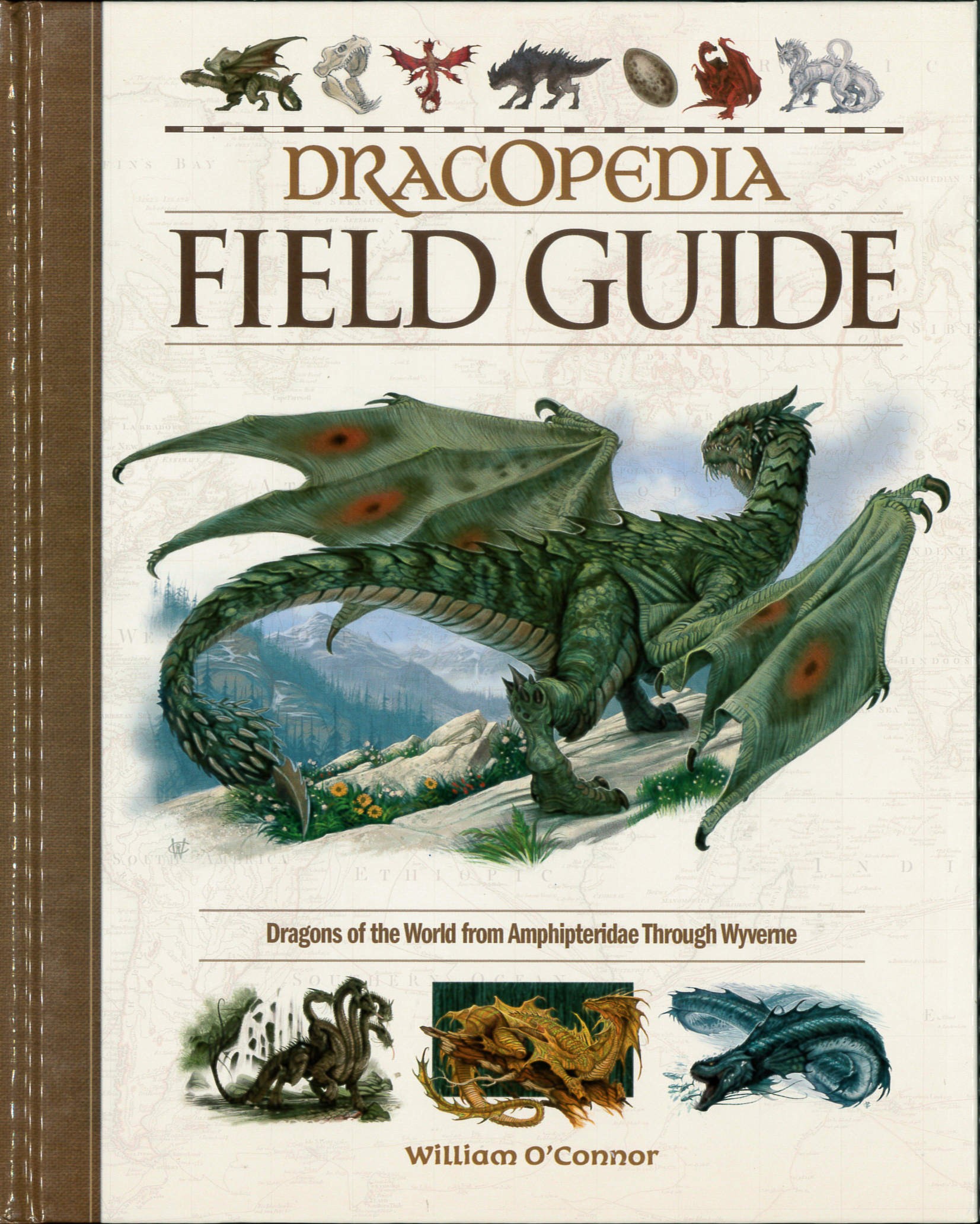 Dracopedia field guide : Dragons of the world from Amphipteridae through Wyvernae /