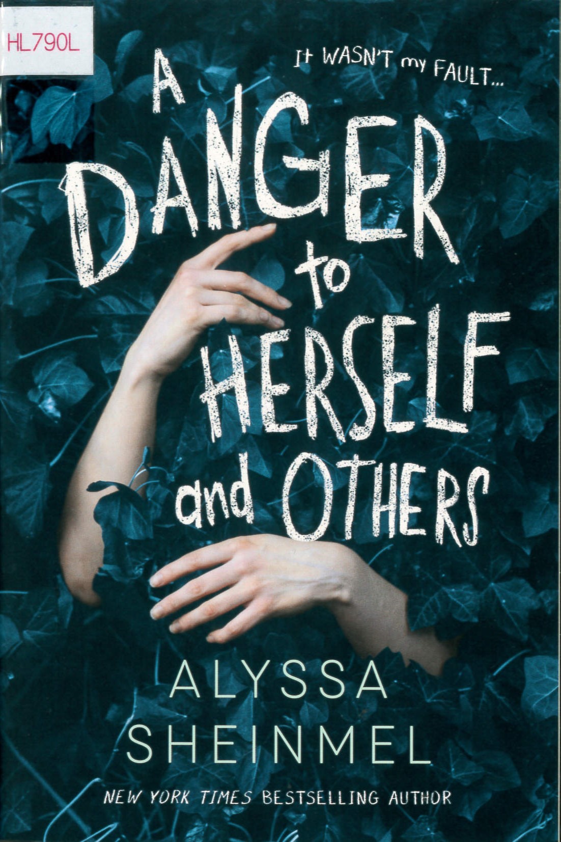 A danger to herself and others /