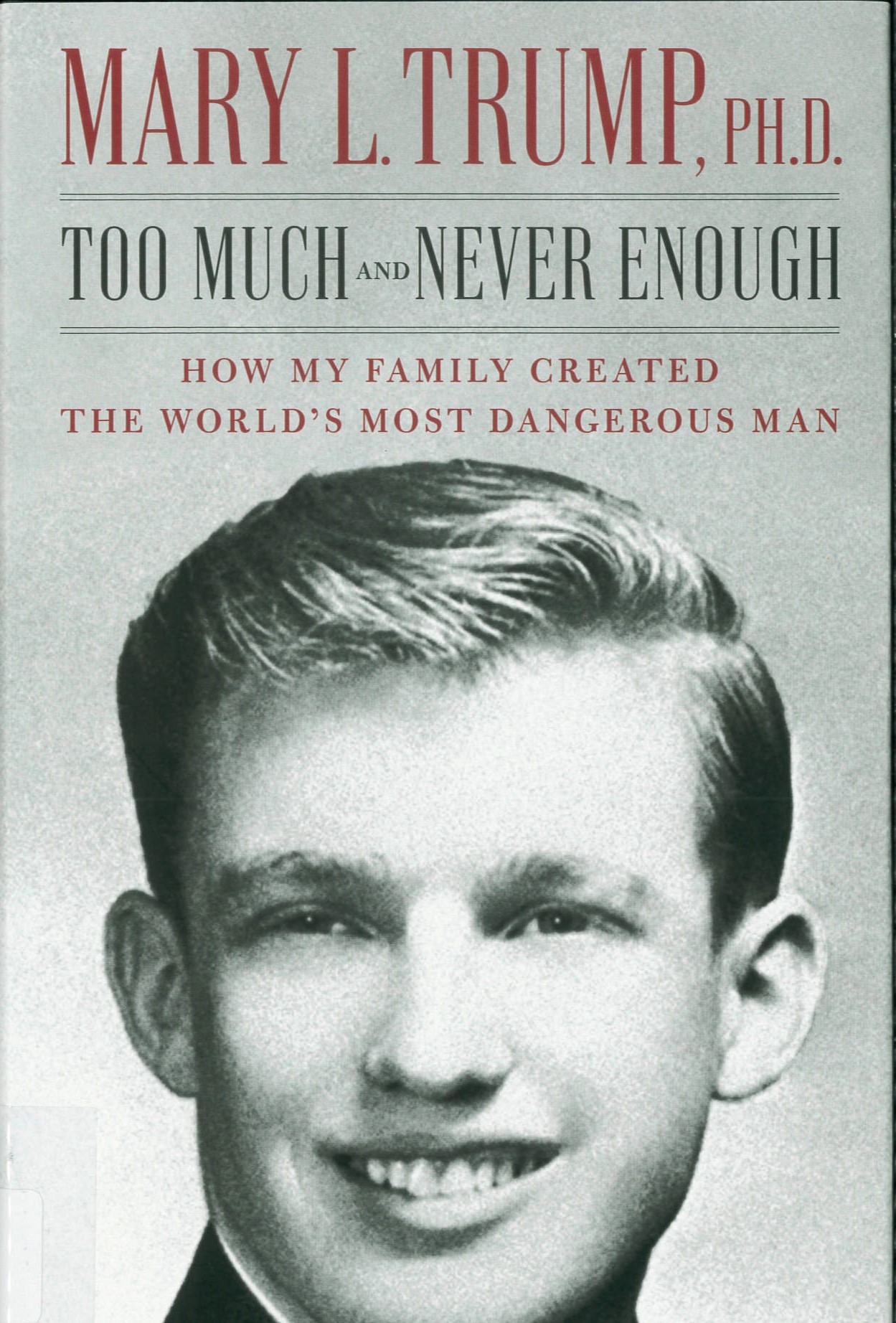 Too much and never enough : how my family created the world