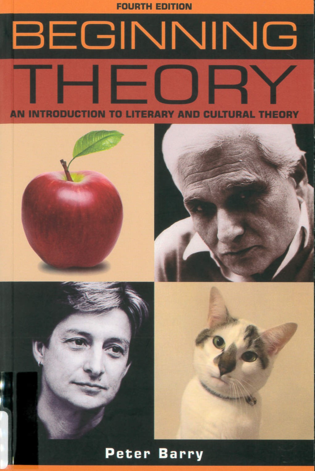 Beginning theory : an introduction to literary and cultural theory /