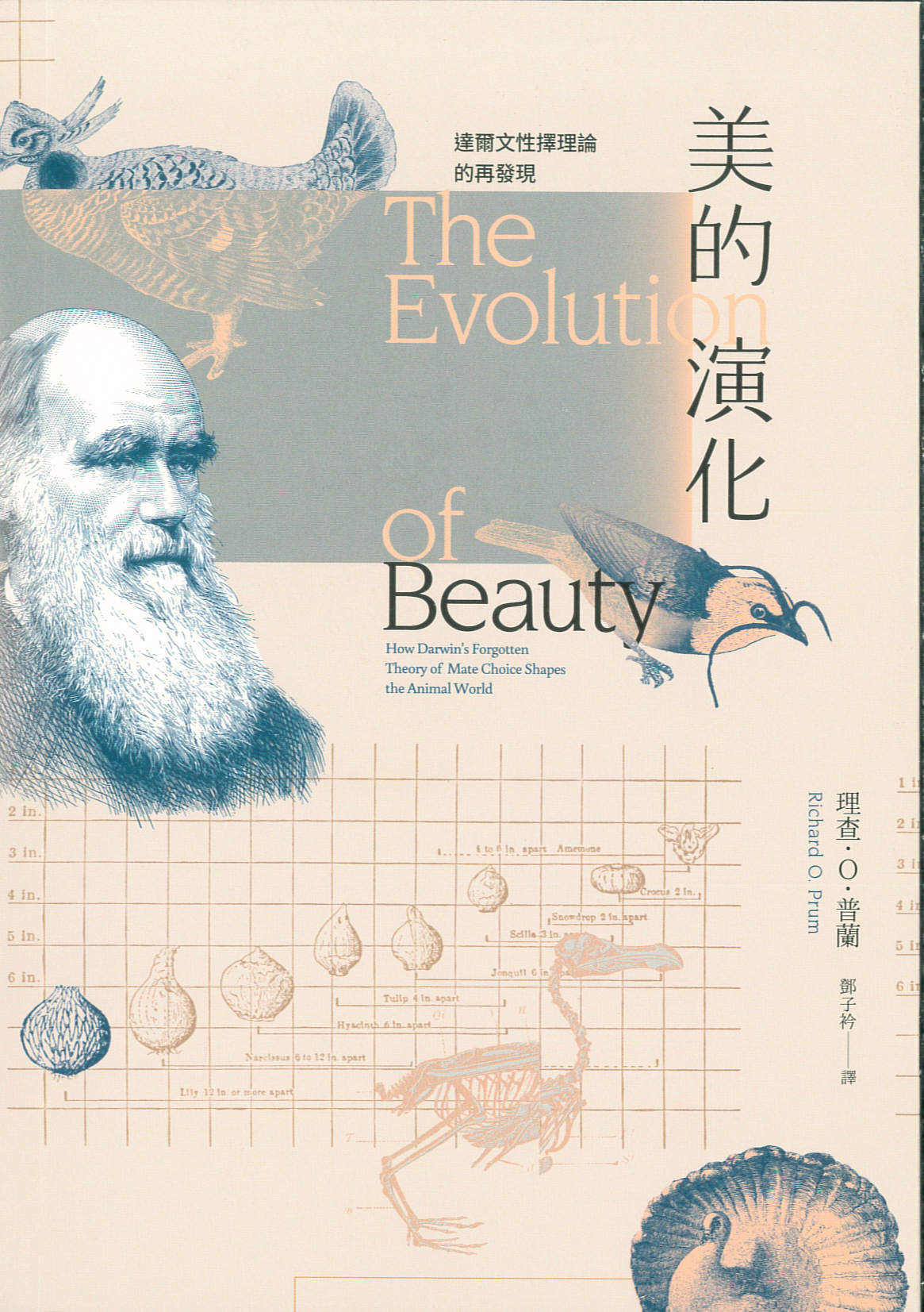 美的演化 : 達爾文性擇理論的再發現 /