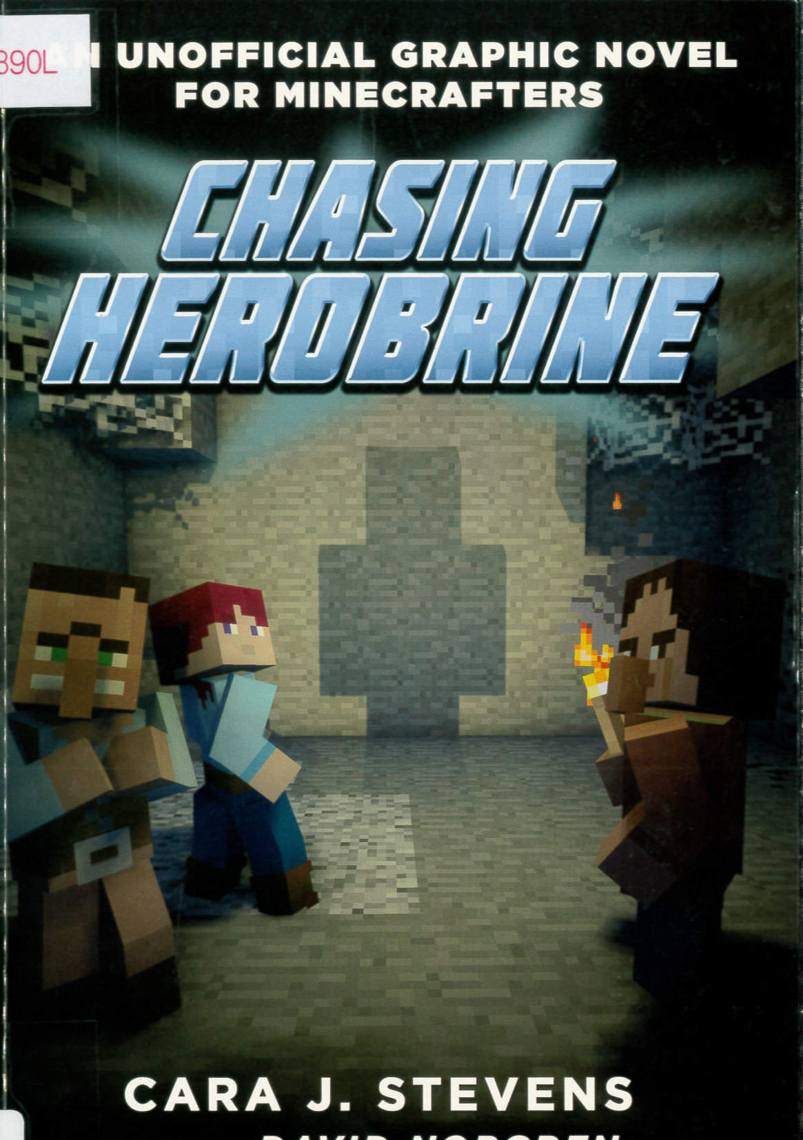 Chasing herobrine : an unofficial graphic novel for Minecrafters /