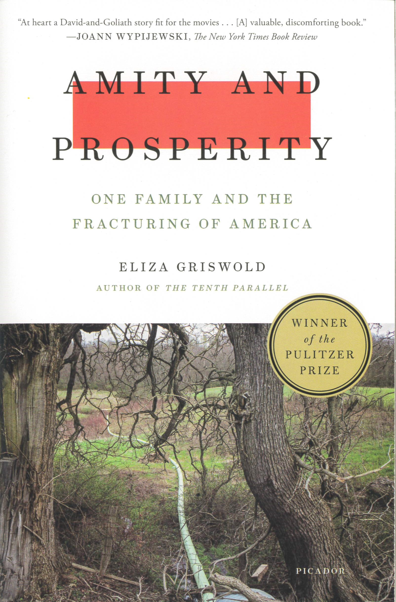 Amity and prosperity : one family and the fracturing of America /