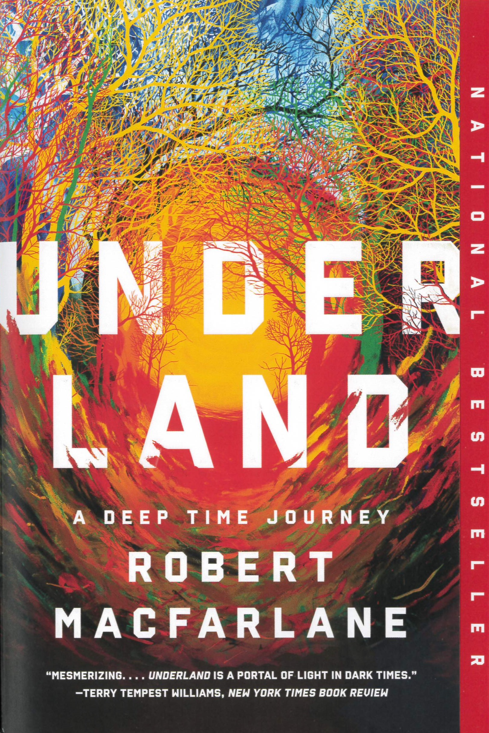 Underland : a deep time journey /