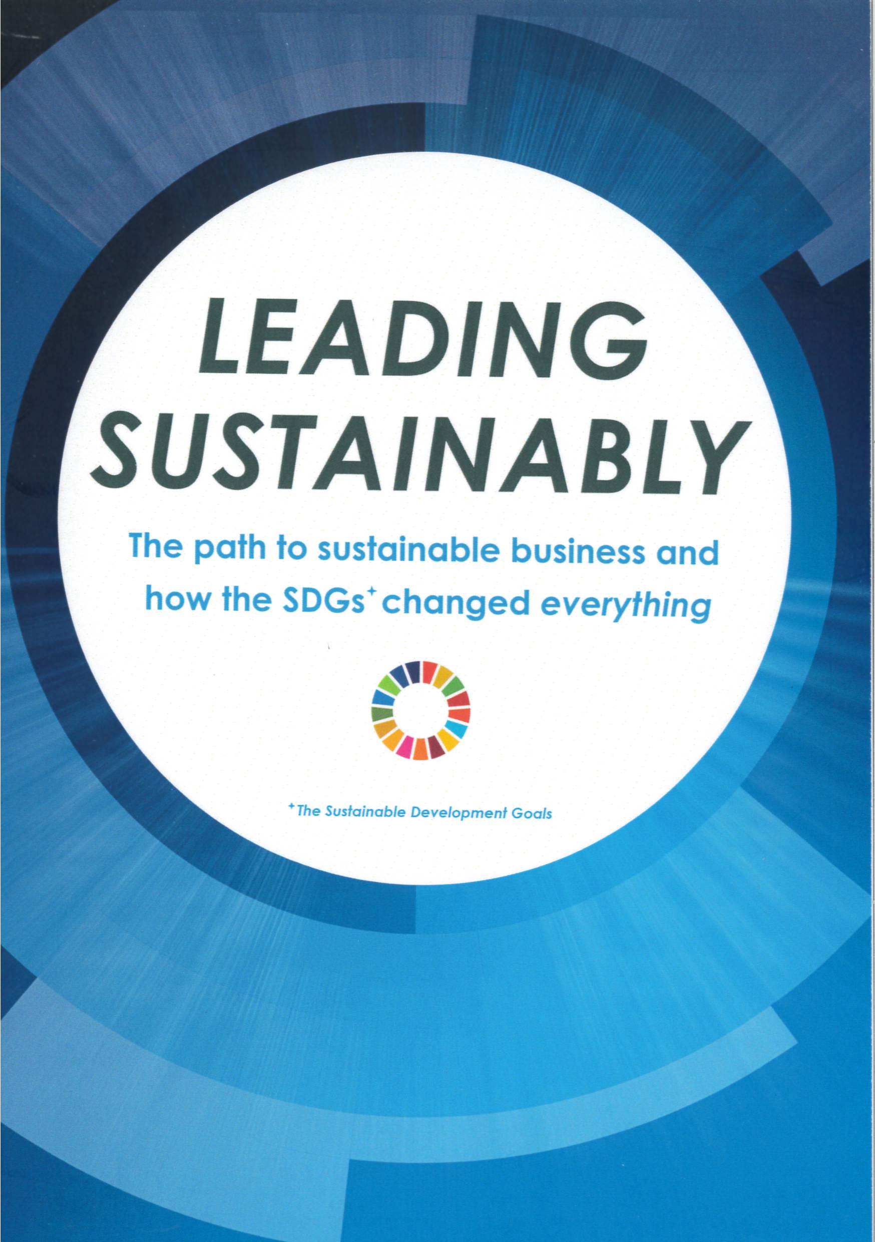 Leading sustainably : the path to sustainable business and how the SDGs changed everything /