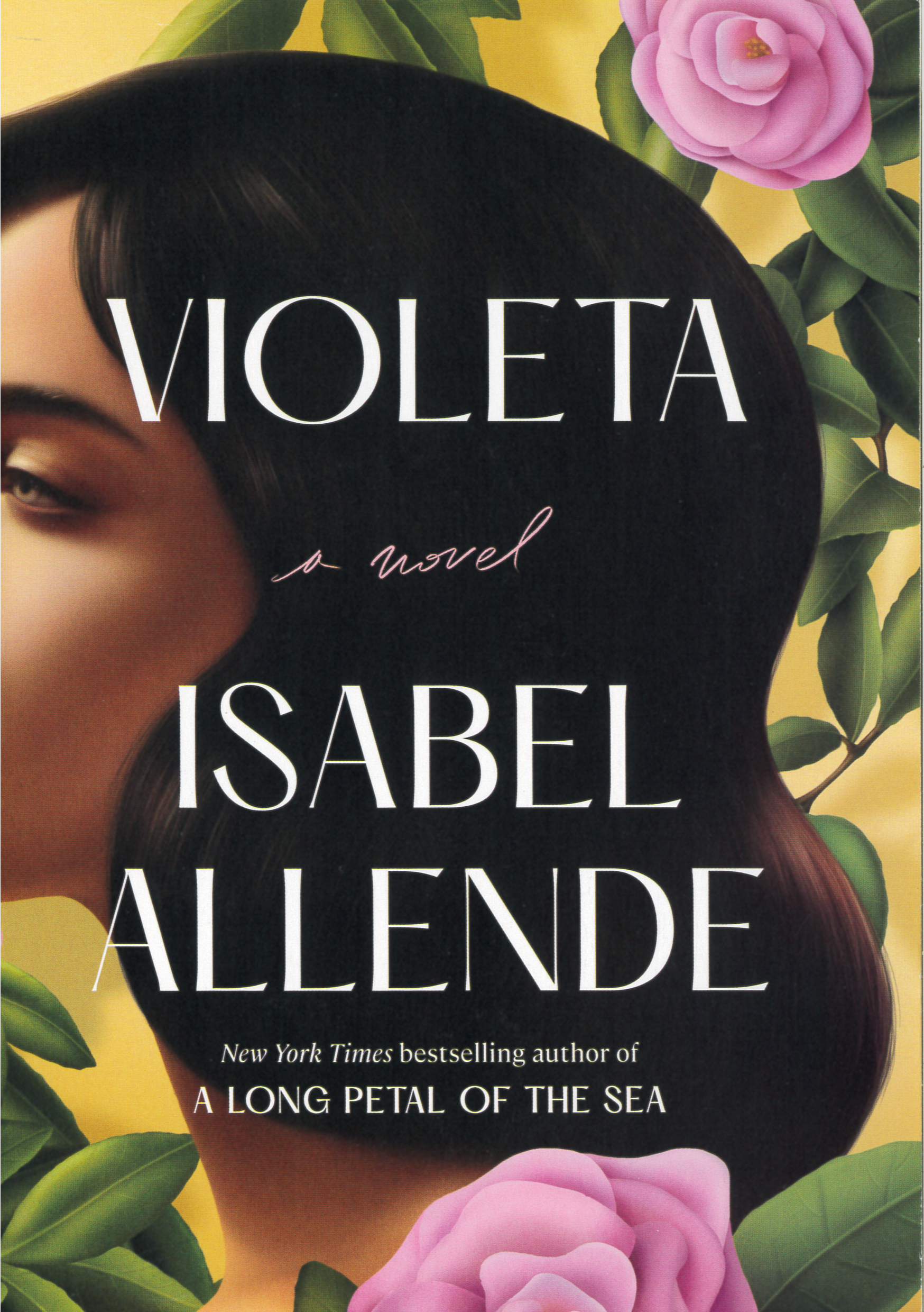 Violeta : a novel /