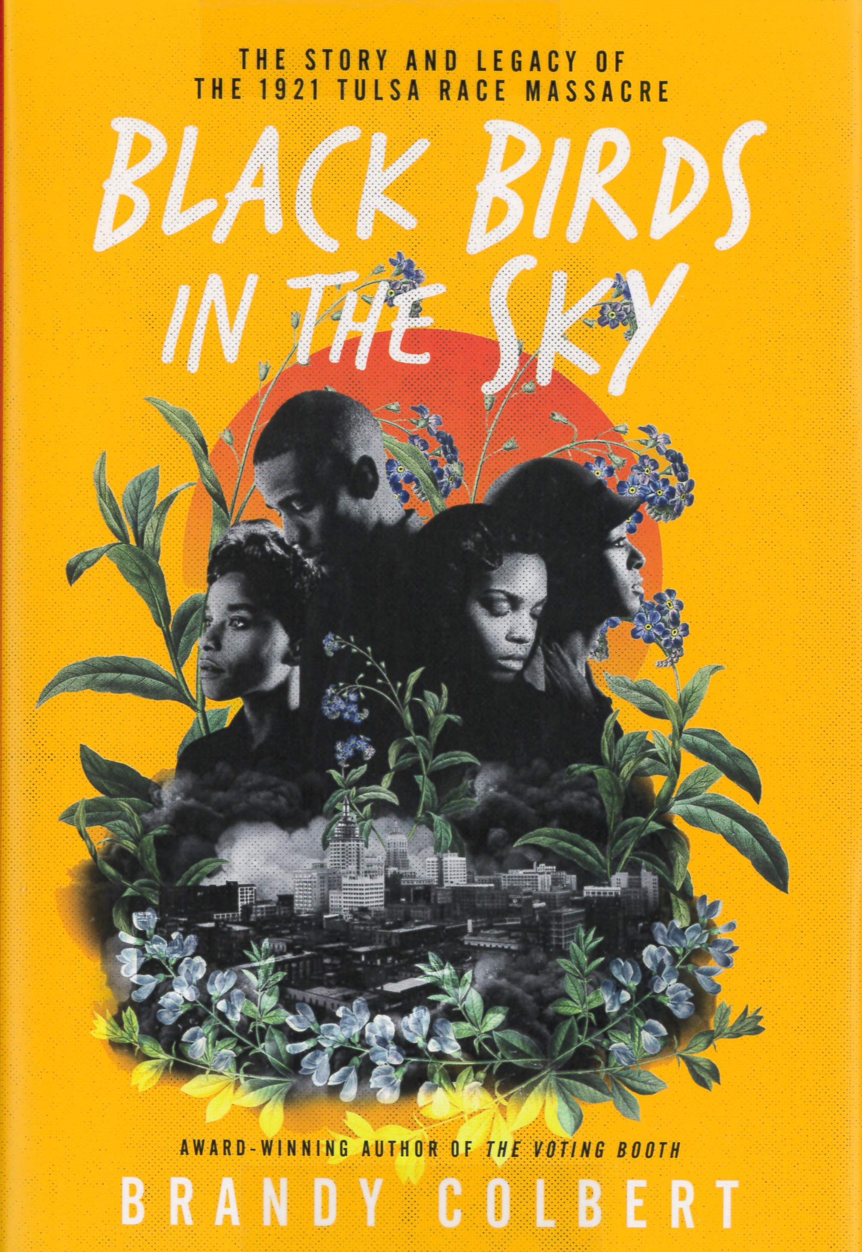 Black birds in the sky : the story and legacy of the 1921 Tulsa Race Massacre /