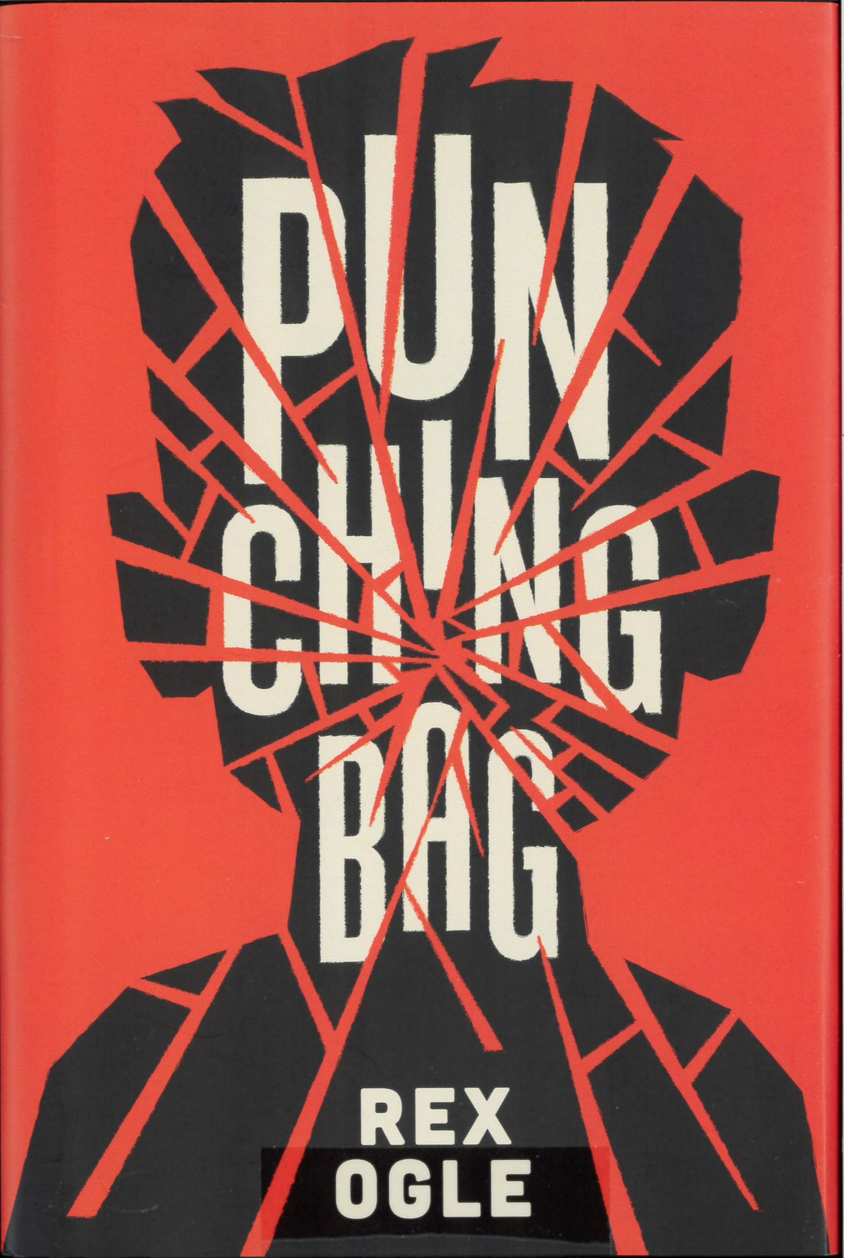 Punching bag /
