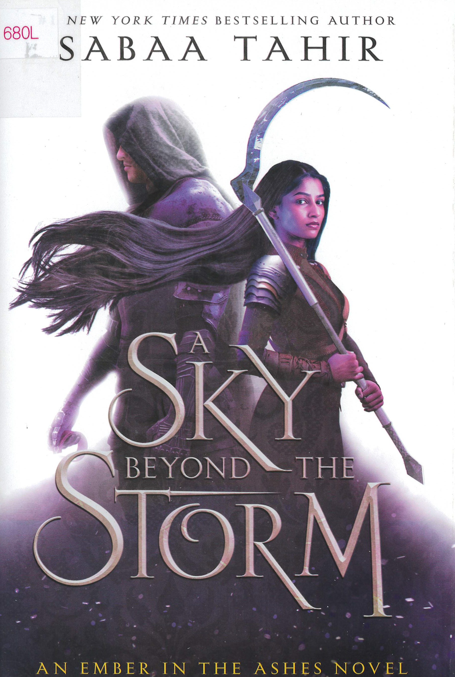 A sky beyond the storm : a novel /