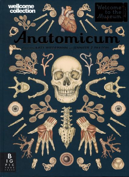 Anatomicum /