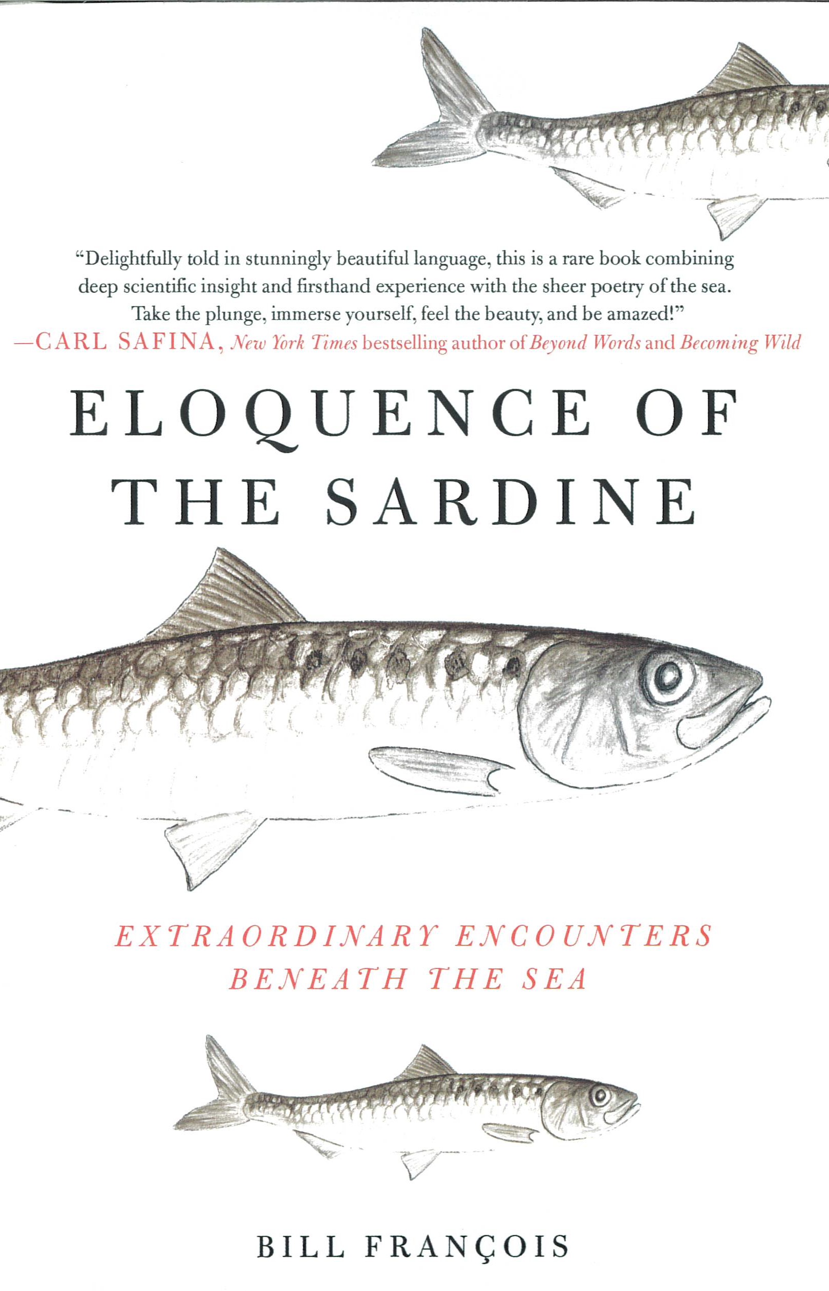 Eloquence of the sardine : extraordinary encounters beneath the sea /