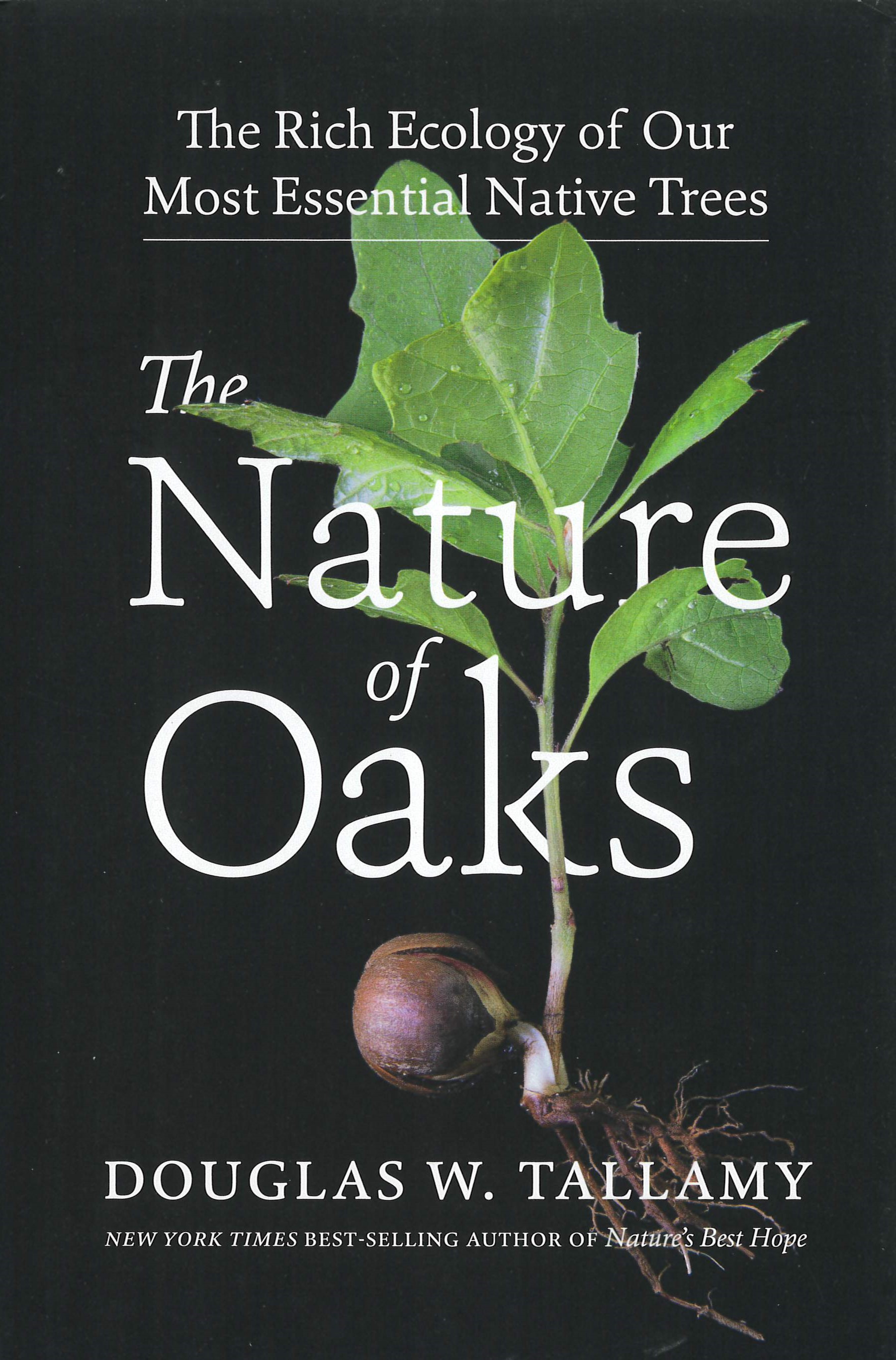 The nature of oaks : the rich ecology of our most essential native trees /