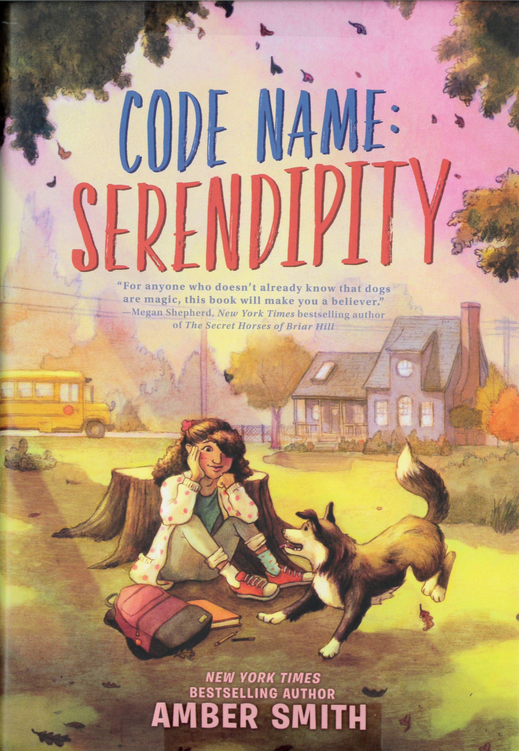 Code Name : Serendipity /