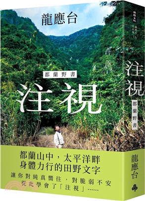 注視 : 都蘭野書 /